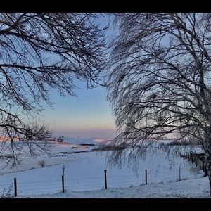 Meet your Posher, Jami